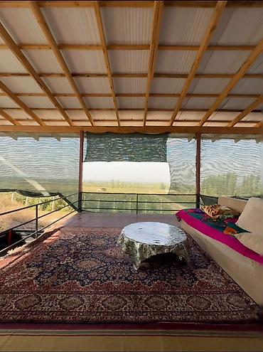 Продажа сельхоз предприятий: Питомник растений, 220 соток, Действующий, Частично с оборудованием, Электричество, Холодная вода — 4