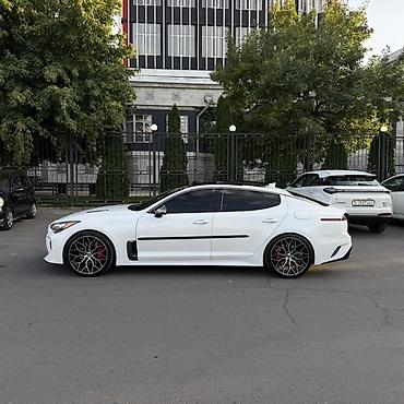 дверь марк 2: Kia Stinger: 2021 г., 3.3 л, Бензин, Лифтбек — 6