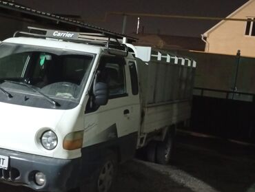 золотистая шиншилла: Портер такси портер такси портер такси Портер такси портер такси