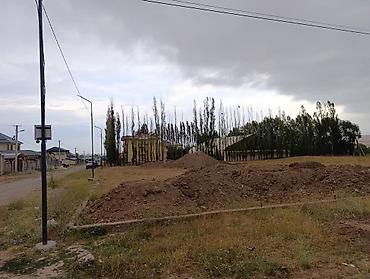 Продажа участков: 43 соток, Для строительства, Красная книга — 5