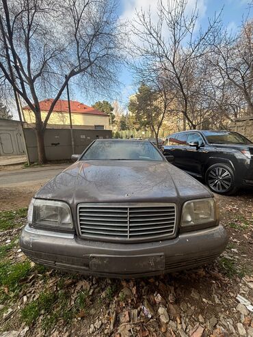 mercedes tursiy: Mercedes-Benz S600: 3.5 l | 1995 il Sedan