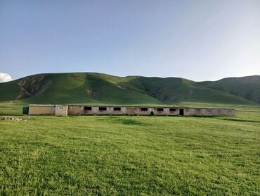 Сельхоз предприятия: Продаю Кошара, 50 соток, Действующий, Без оборудования, Электричество — 23