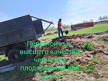 upper intermediate: Перегной кык перегной кык высшего качества выдержки 5 лет — 3