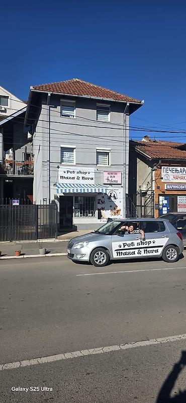 mačka prodaja: Pet shop “Maza & Nera” – sve za ljubimce na jednom mestu Pored — 1