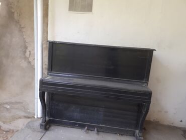 Pianolar: Piano, Akustik