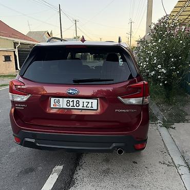 Subaru: Subaru Forester: 2021 г., 2.5 л, Вариатор, Бензин, Кроссовер — 4