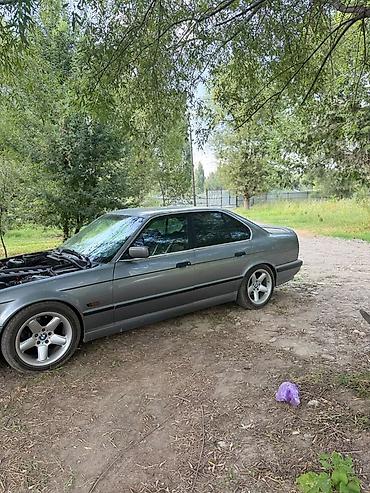 реснички е39: BMW 5 series: 1991 г., 2 л, Механика, Бензин, Седан — 3