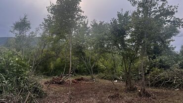 Torpaq sahələrinin satışı: 10 sot, Tikinti, Kupça (Çıxarış) — 13