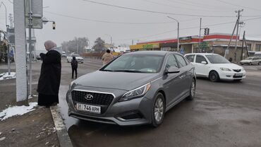 авто хюндай: Hyundai Sonata: 2017 г., 2 л, Автомат, Гибрид