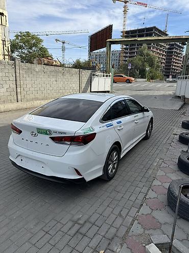 Продажа авто: Hyundai Sonata: 2019 г., 2 л, Автомат, Газ, Седан — 7