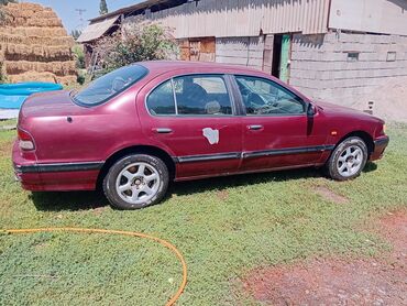 машина в кредит без первоначального взноса бишкек: Nissan Maxima: 1996 г., 2 л, Механика, Бензин, Седан