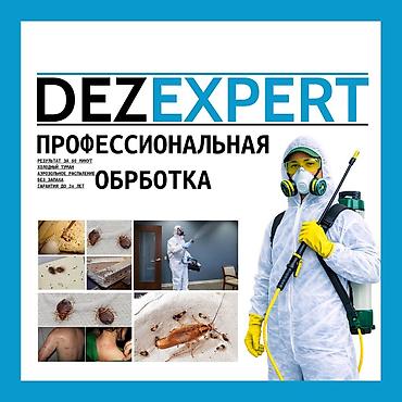 fre fire: Дезинфекция, дезинсекция, | Блохи, Вирусы, микробы, Клопы, | Кафе, магазины, Квартиры, Офисы — 1