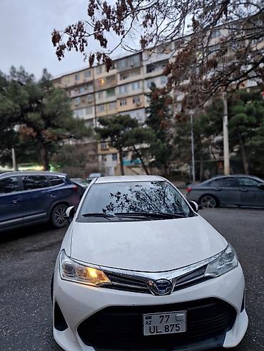 Toyota: Toyota Corolla Fielder Hybrid (ağ rəng, universal kuzov) BUTUN — 8