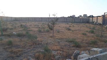 buzovnada torpaq: 10 sot, Tikinti, Mülkiyyətçi, Kupça (Çıxarış) — 3