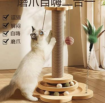 Зоотовары: Зоотовары для питомцев лежанки домики переноски игрушки дразнилки — 13