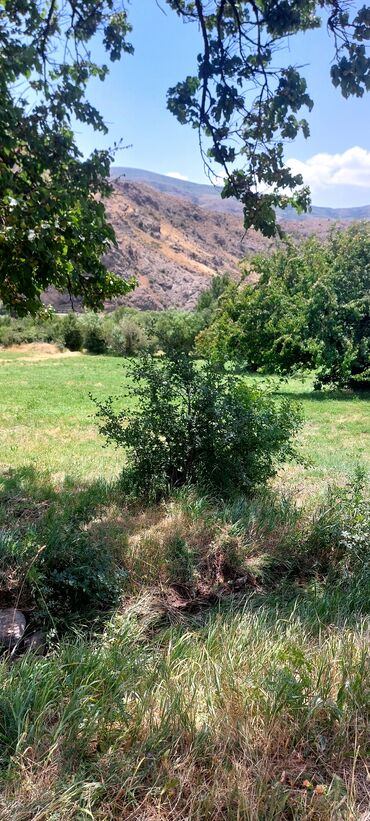 Torpaq sahələrinin satışı: Əkin sahəsi kənd təsərrüfatı fəaliyyəti üçün geniş imkanlar təklif — 9