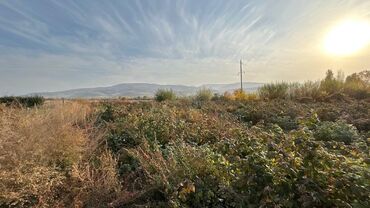 продается жилой дом с большим участкам в село кунтуу: 22 соток, Курулуш, Кызыл китеп, Техпаспорт, Сатып алуу-сатуу келишими