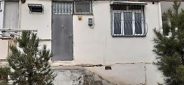 bolt bas ofis elaqe: Mahrasa bağında qapısı çölə açılır, giriş blokdan deyil. Kurs üçün — 1