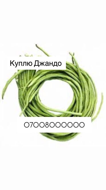 сколько стоит дубайский шоколад оригинал: Куплю Джандо оптом !!!