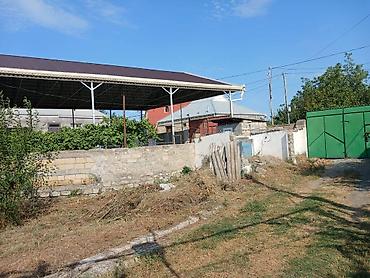 visnofkada torpaq: 5 sot, Tikinti, Mülkiyyətçi, Kupça (Çıxarış) — 2