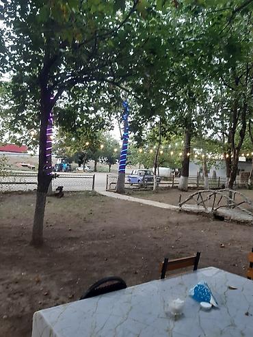 restoran hostes vakansiya: Nərgiz kafesine ofsiyant xanım teleb olnur maaş 30 azn +yimək çayavoy — 4