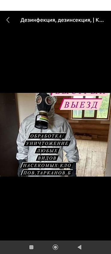 Дезинфекция, дезинсекция: Дезинфекция, дезинсекция, | Вирусы, микробы, Мыши и крысы, Блохи, | Офисы, Транспорт, Подвал, погреб — 3