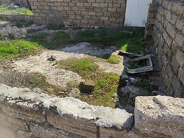lokbatanda torpaq satışı: 3 sotun icindedi real alici narahat etsin unvan turkan uzumculuk — 2