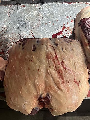 Конина: Тай эти дун жана чекене бардык турлору бар устукан тойлордуу тейлоо — 8