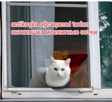 Jalüzlər: Jaluz-agcaqanad torlari .Plastik pəncərələr və qapılarda ağcaqanad — 11