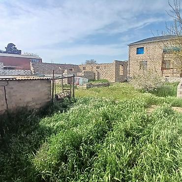 maşdağa: Tikinti, Kupça (Çıxarış) — 2