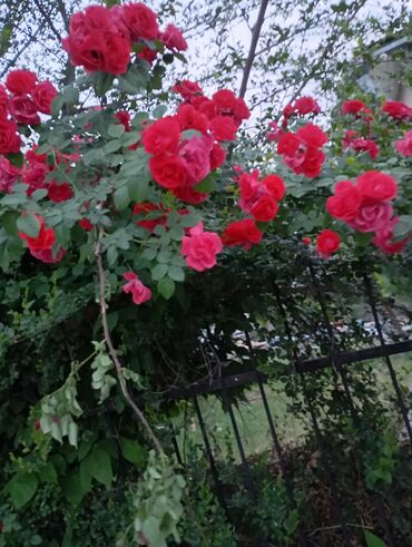 отургучтар бу: Женщина 50 лет в поисках работы Ответственная без вредных привычек