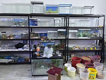 100 l akvarium: Akvaryum və ev heyvanları üçün ixtisaslaşmış dükan – bölmə 69 Təklif — 4
