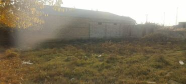 Torpaq sahələrinin satışı: 5 sot, Kupça (Çıxarış) — 11