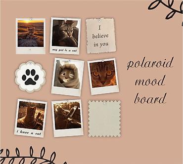время: 💬Polaroid-распечатки — ваши воспоминания в стиле ретро! 🧘Яркие фото с — 2