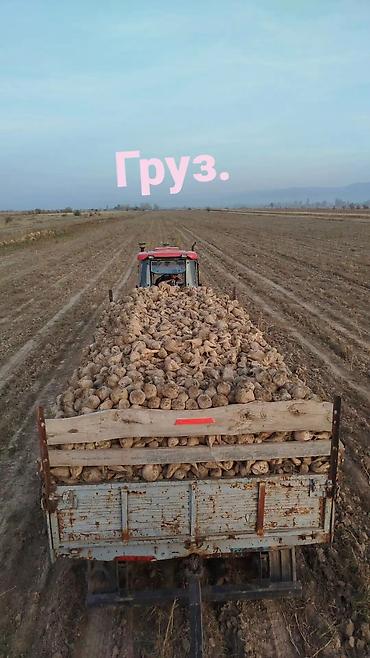 Клубника: Клубника — 9