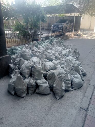 Демонтажные работы: Снос стен, Разбор полов, Снятие потолков | Гипсокартонная стена, Снос перегородки, Снятие старой штукатурки | Зачистка от старых обоев, Сбивка старой штукатурки, Снятие извести | Демонтаж ламината, Демонтаж паркета, Демонтаж линолеума | Крыша из шифера, Металлочерепичная кровля, Мягкая кровля Больше 6 лет опыта — 7