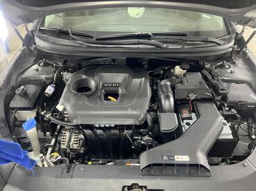 Hyundai: Hyundai Sonata: 2017 г., 2 л, Автомат, Бензиновая, Седан — 13