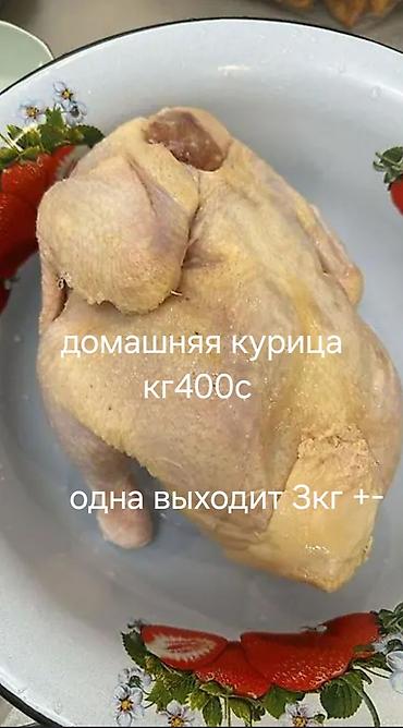 кой бишкек: Домашняя курица (целиком) - Средний вес тушки: около 3 кг (+-) - — 1