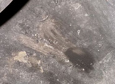 Диски: Литые Диски R 15 Комплект, отверстий - 5, Б/у — 12