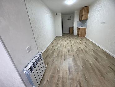 Продажа квартир: 1 комната, 27 м², парк Фучика Малосемейка, 3 этаж, Евроремонт — 7