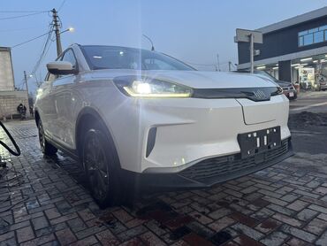электромобиль neta: Weltmeister EX5, 2020 г., 100000 км, Алдыңкы, Бар