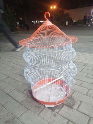 Qəfəslər: Təzə Qəfəslər 9azn boş qəfəslər Valnisti Tutuquşu Qəfəsi 9azn Amadin — 14