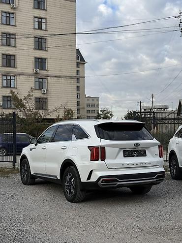 220 mers: Kia Sorento: 2020 г., 1.6 л, Автомат, Гибрид — 3