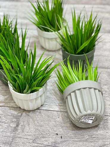 Süni güllər: Dekor dibçekler — 2