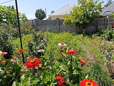 Продажа коттеджей и домов: Срочно продаётся дом в Чуйской области, г. Каинда по ул. Джуматаева — 19