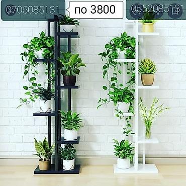 Тележки-органайзеры на колесах: Этажерки/стеллажи для комнатных растений - Дизайн: современные — 11