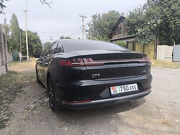 BYD: BYD E9: 2021 г., Электромобиль, Седан — 4