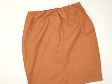 Women`s skirt, Zara, size S (EU 36)