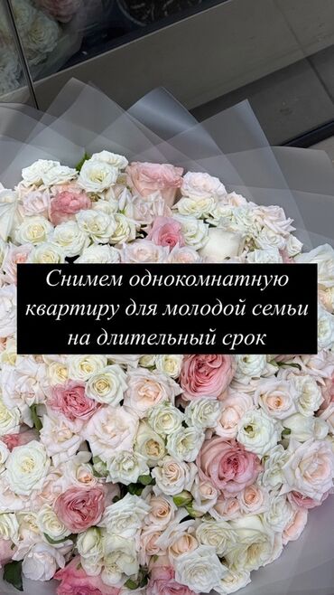 массажный салон в аренду: 1 комната, Собственник, С мебелью полностью
