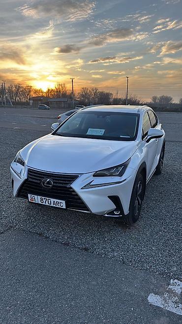 Lexus NX: 2018 г., 2 л, Автомат, Бензин, Кроссовер at lalafo.kg Lexus NX: 2018 г., 2 л, Автомат, Бензин, Кроссовер